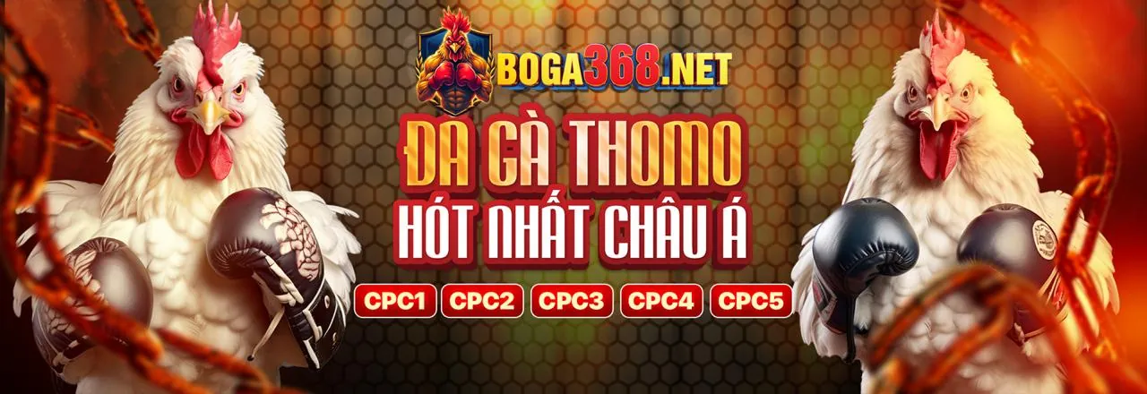 Chương trình VIP sao789 với các đặc quyền và ưu đãi